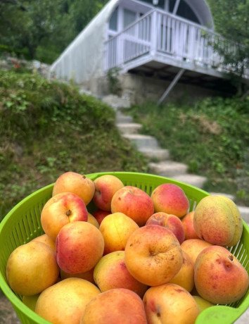 pods-for-sale-in-manali-himachal-pradesh-big-0