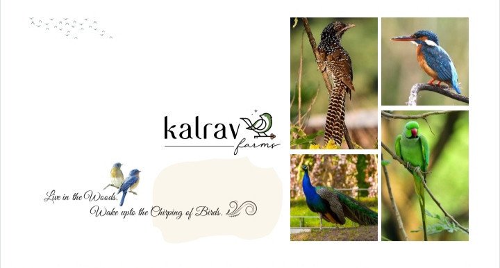 kalrav-farms-near-ahmedabad-gandhinagar-big-0